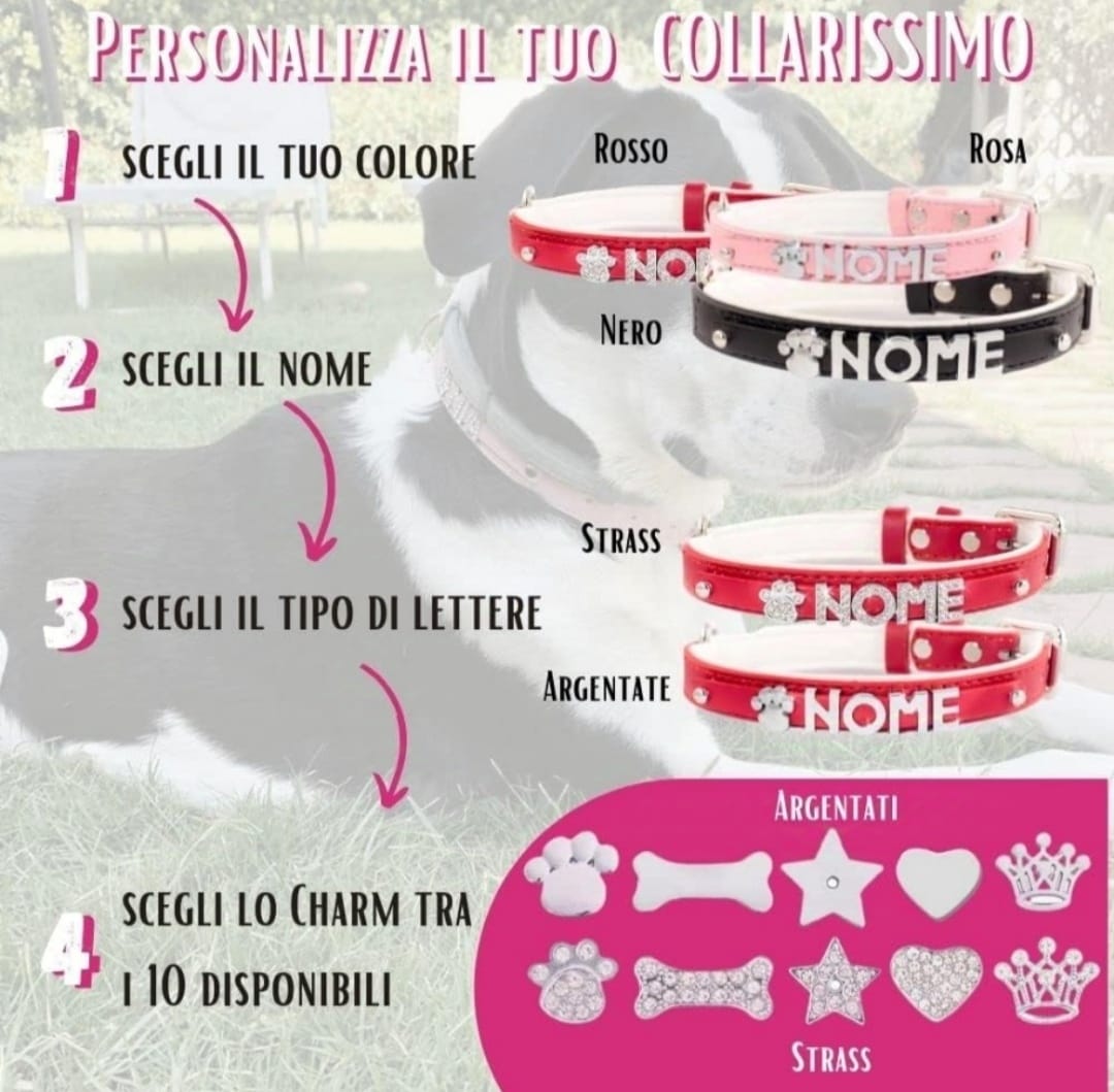 Collare personalizzabile per cani - Collarissimo